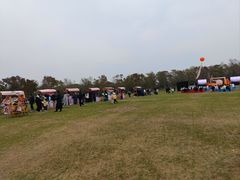 -上海海湾国家森林公园