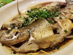 -桐庐窄溪野鱼馆