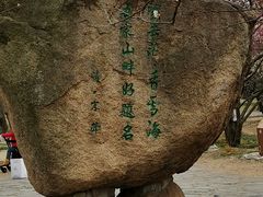 -香雪海