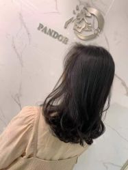 -潘多拉Hairsalon