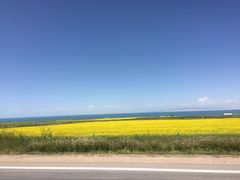 -青海湖国家重点风景名胜区