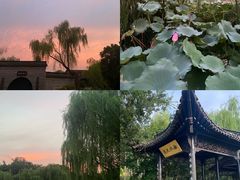 -扬州大运河文化旅游度假区·盆景园