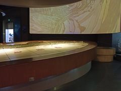 -陕西自然博物馆