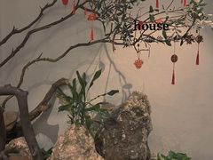 -青藤茶馆(南山路店)