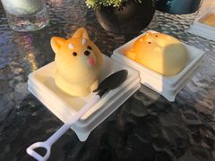 -柴犬高等学院·狗咖·柴犬售卖·宠物训练