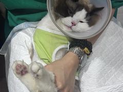 -派特宠物医院(圆融广场店)