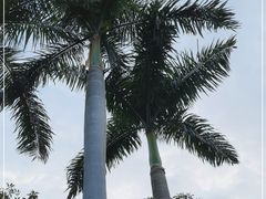 -广州市白云山风景名胜区