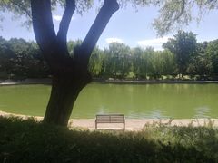 -团结湖公园