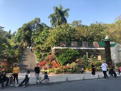 -仙岳公园