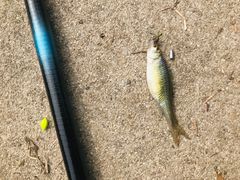 -东方国际水产中心-停车场