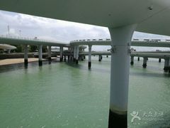 -演武大桥观景平台