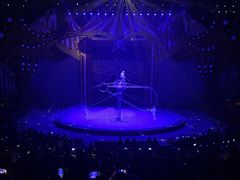 -珠海横琴长隆《卡卡虎奇遇记》