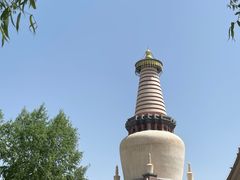 -张掖大佛寺景区