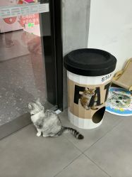 -我舞空间舞蹈培训