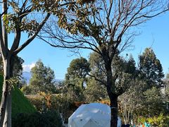 -云禾壹海景庄园餐厅