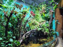 -太平洋海底世界