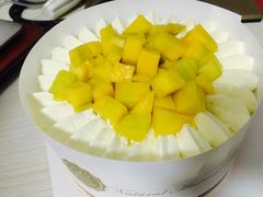 -维尔纳斯·生日蛋糕·动物奶油冰淇淋蛋糕(六里桥店)
