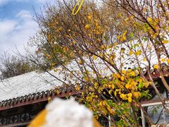 -北宫国家森林公园