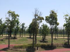 -春花秋色城市公园