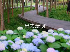 -临平公园(临平街道)