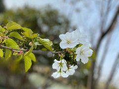 -梁鸿国家湿地公园