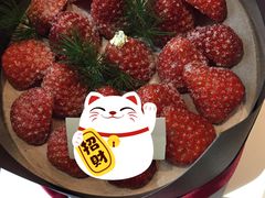 黑巧玫瑰满满草莓巧克力示爱蛋糕-旋木烘焙·生日蛋糕(梅林店)