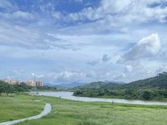 -风云岭森林公园