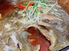 -日进一片海.生腌海鲜火锅.宵夜烧烤(三里屯总店)