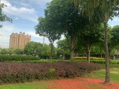 -顺峰山公园