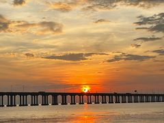 -宝安西湾红树林湿地公园