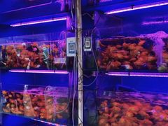 -青石桥花鸟鱼虫市场(叠翠城店)