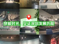 -深圳博物馆历史民俗馆