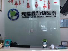 -宠福鑫动物医院(望京分院)