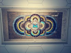 -上海昆虫博物馆