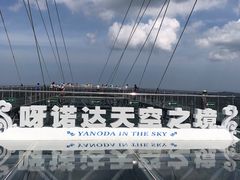 -呀诺达热带雨林