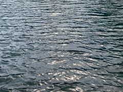 -天鹅湖生态旅游风景区