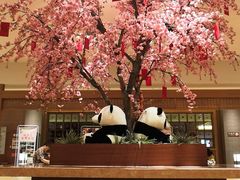 -大江户·温泉洗浴(浑南店)