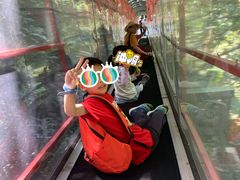 -七仙岭温泉国家森林公园