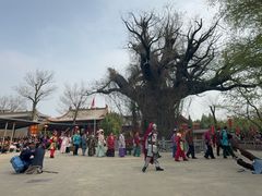 -大槐树寻根祭祖园
