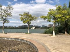 -暨阳湖生态园