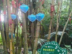 -呀诺达热带雨林