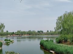 -燕郊植物园