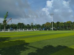 -宝安西湾红树林湿地公园