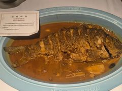 -阿五黄河大鲤鱼(纬三路店)