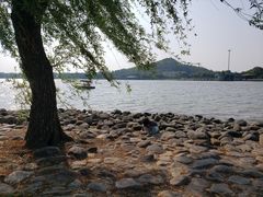 -上海月湖雕塑公园