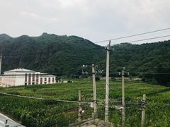 -遥桥古堡