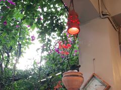 大堂-库玛丽尼泊尔风味餐吧