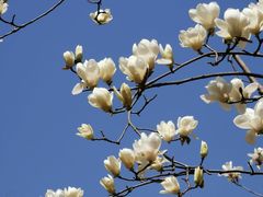 -白塘生态植物园
