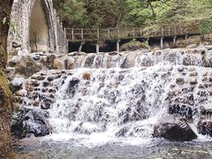 -牛背梁国家森林公园