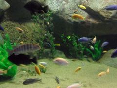 -苏州海洋馆